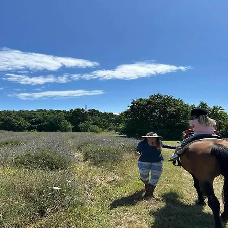 Daire In Near Rabac Beaches *